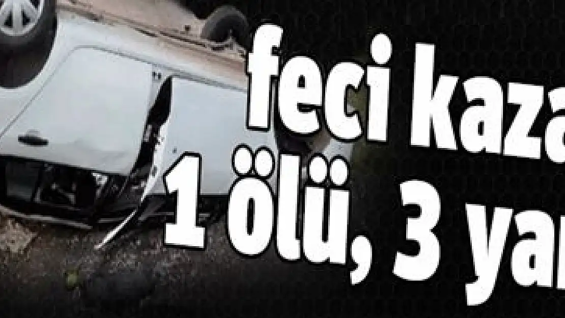 Otomobil dereye uçtu: 1 ölü, 3 yaralı