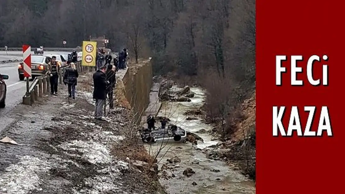 Otomobil dereye uçtu, 1 ölü