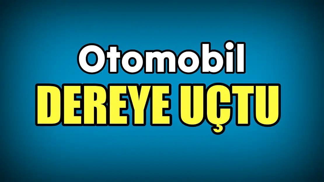 Otomobil dereye uçtu