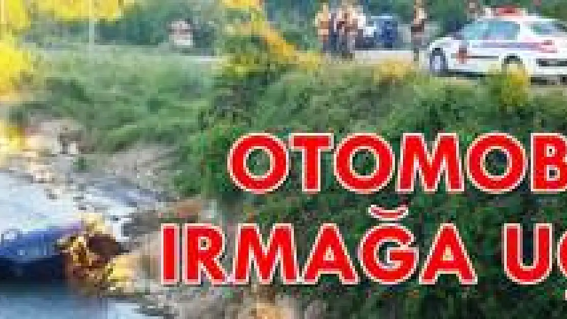 Otomobil ırmağa uçtu: 1 yaralı