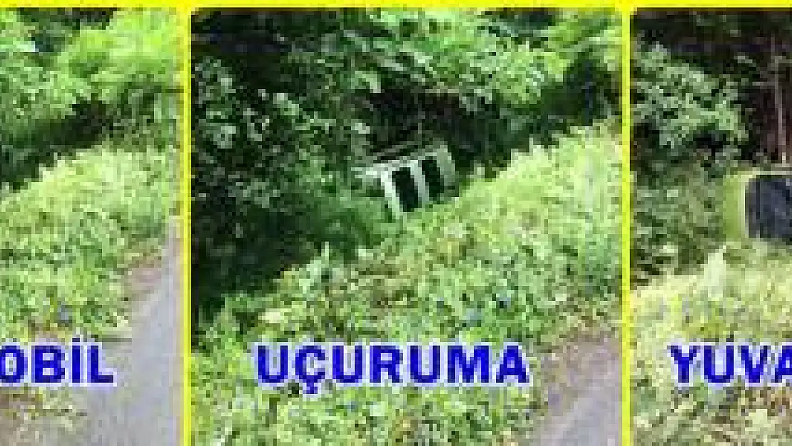 Otomobil Uçuruma Yuvarlandı: 2 Yaralı
