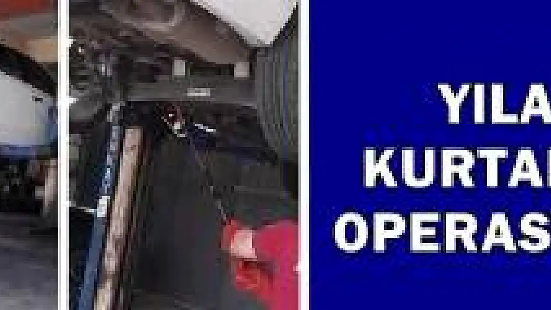 Otomobildeki yılan böyle çıkartıldı 