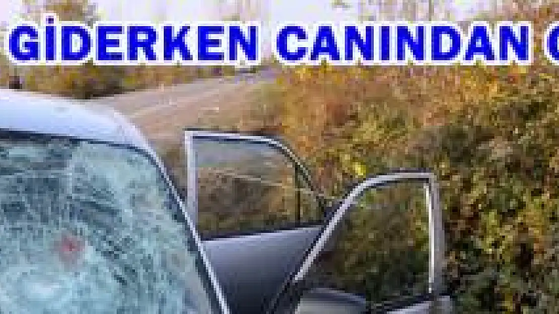 Otomobilin Çarptığı Yaşlı Adam Öldü