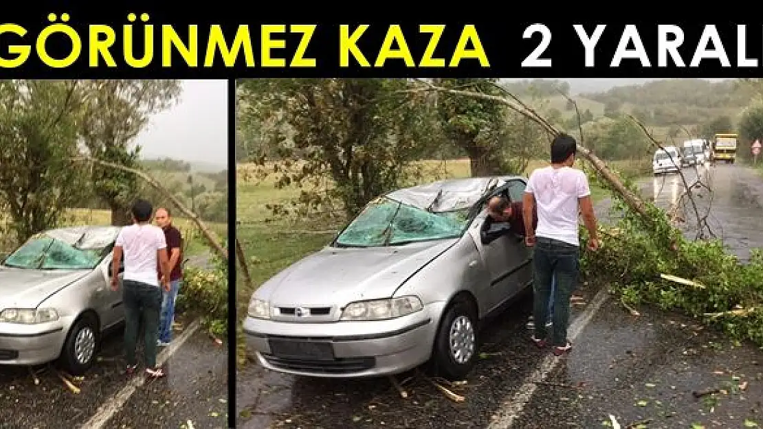 Otomobilin üzerine ağaç devrildi