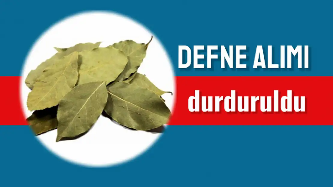 Öztem'den defne duyurusu