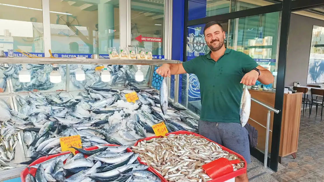 Palamut bolluğu yüzleri güldürdü