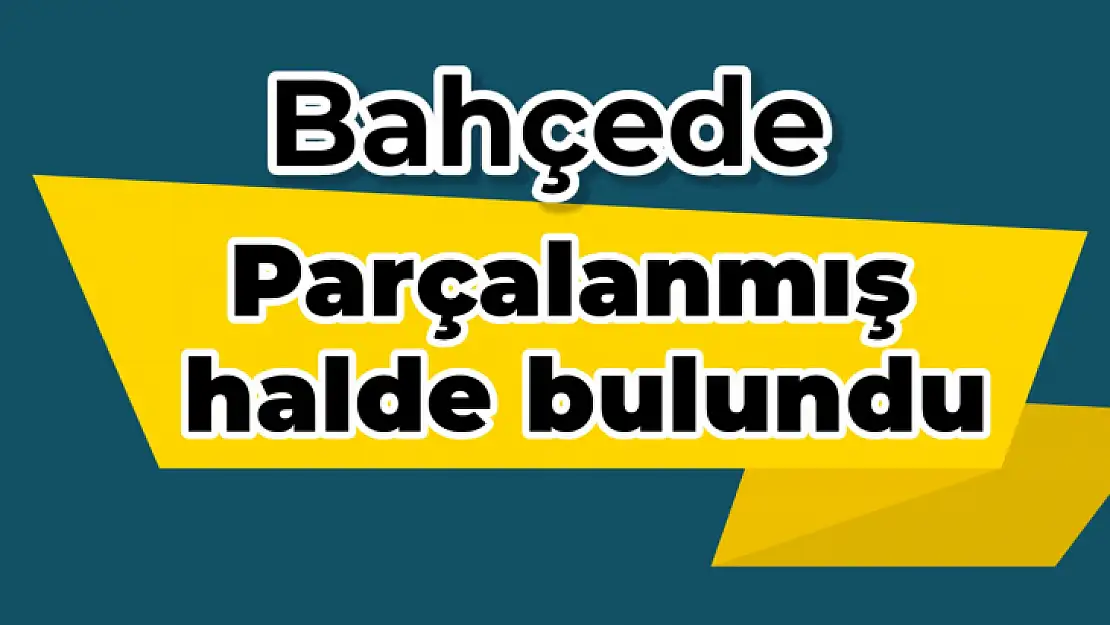 Parçalanmış halde bulundu