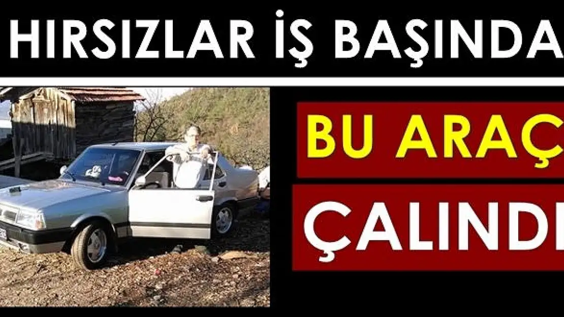 Park etti, yarım saat içinde çaldılar