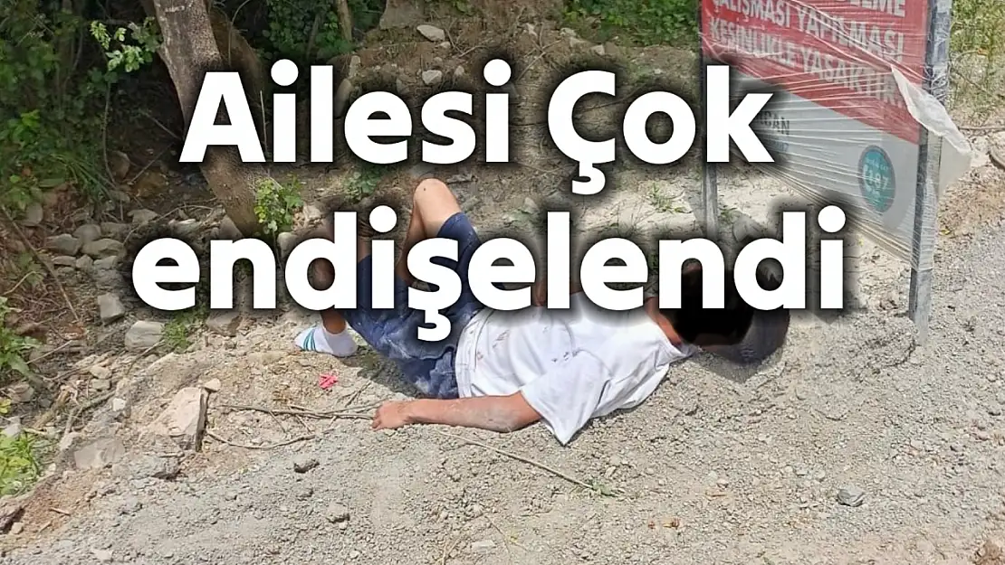 Park halindeki aracın içinde bulundu
