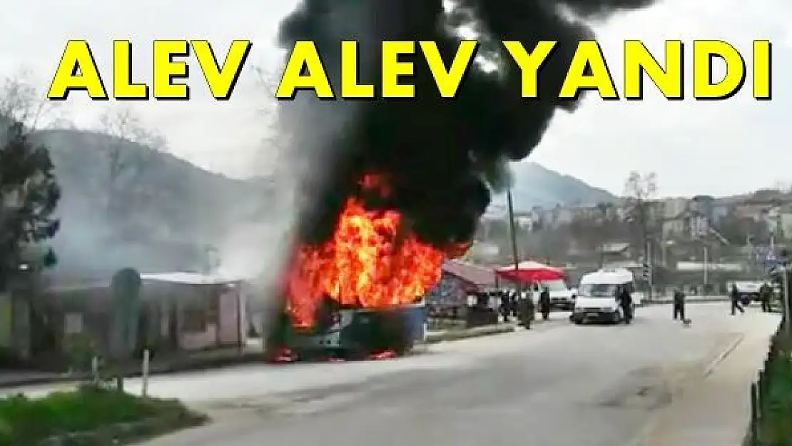 Park halindeki minibüs alev alev yandı