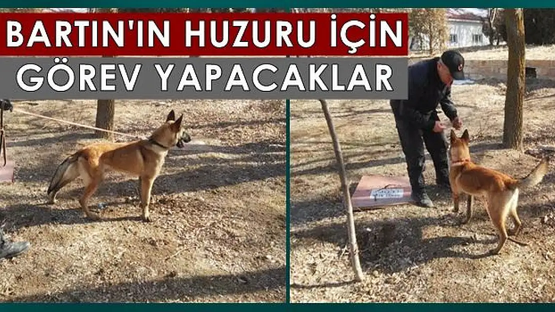 Patlayıcı arayıp iz sürecekler 