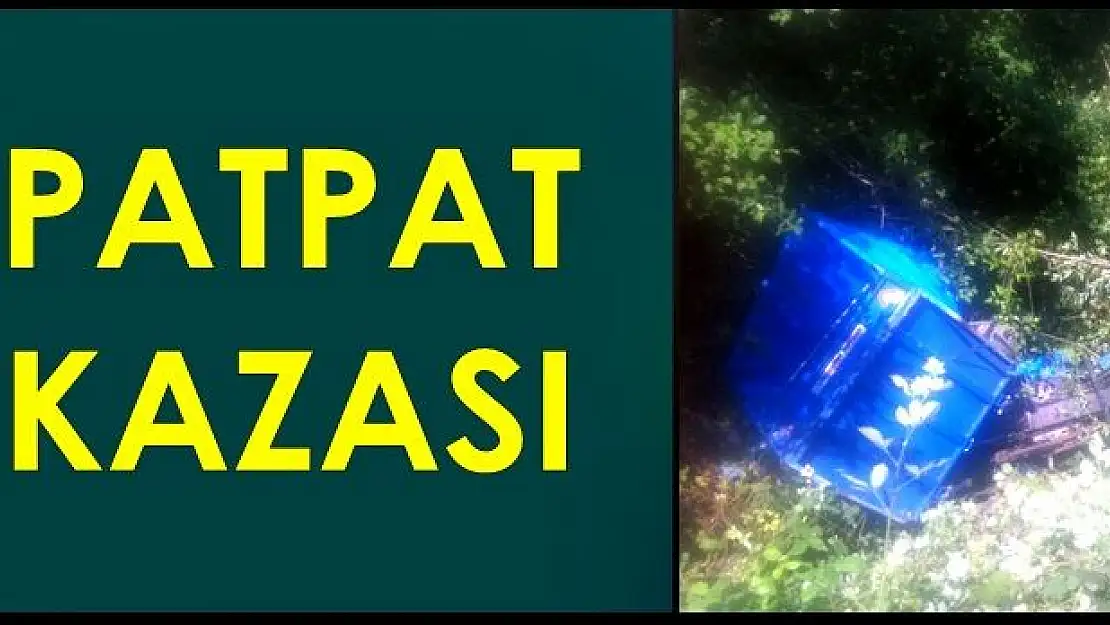 Patpat şarampole devrildi