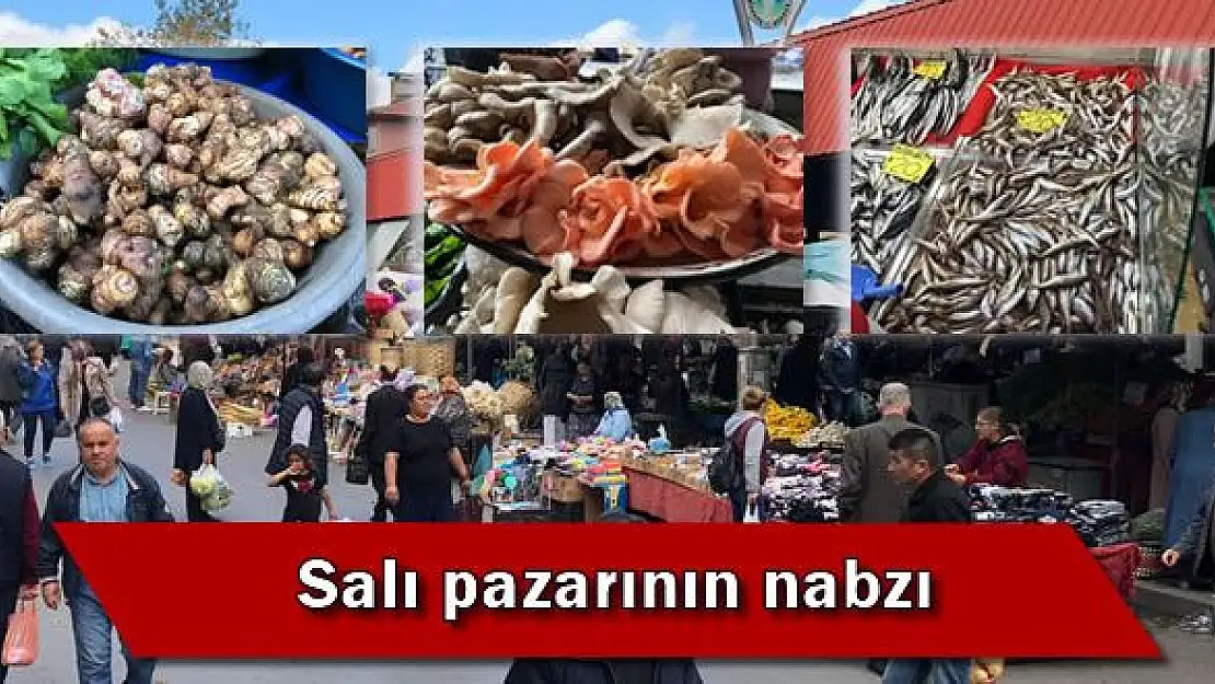 Pazarda son durum, neler var neler!