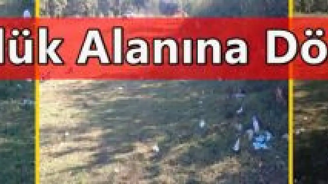 Piknik alanı çöplüğe döndü