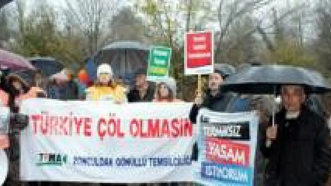 Platform Ağaç katliamını protesto etti