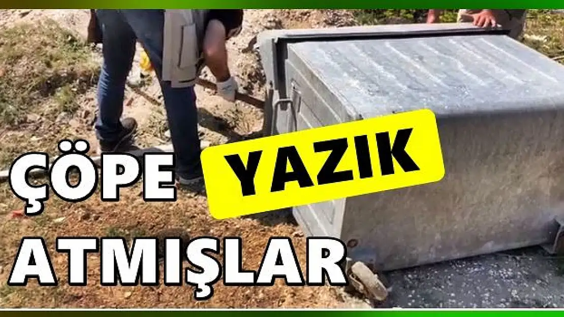 Poşetle çöpe atıldılar, yazıktır günahtır!