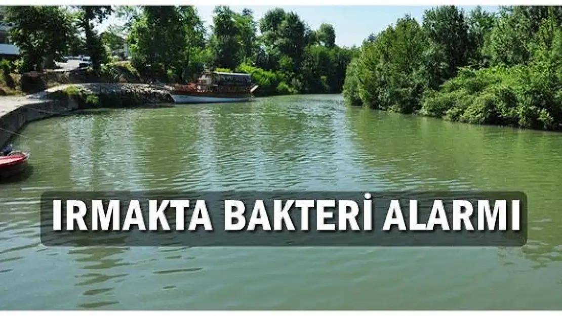 Raporda Irmaktaki tehlike ortaya çıktı