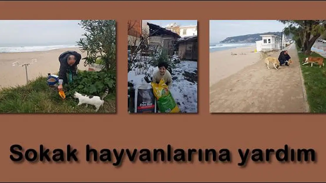 Sahipsiz hayvanlara destek