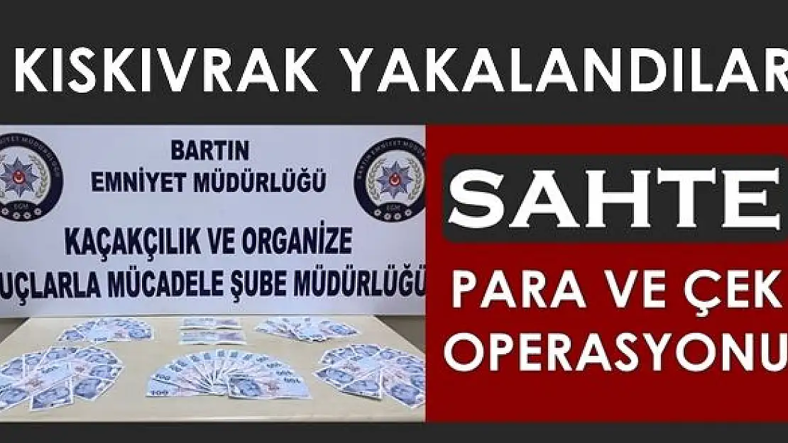 Sahte para ve çek operasyonu