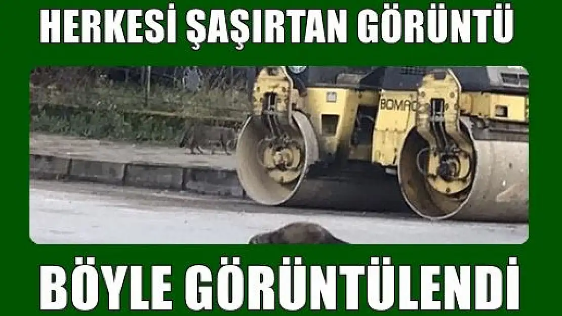 Şehir merkezinde ilginç anlar