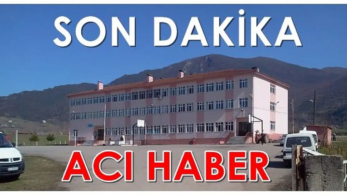 Servis minibüsü öğrenciye çarptı