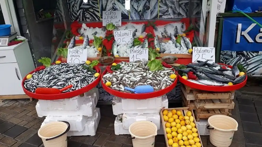 Sezonun ilk Palamutları Tezgahta