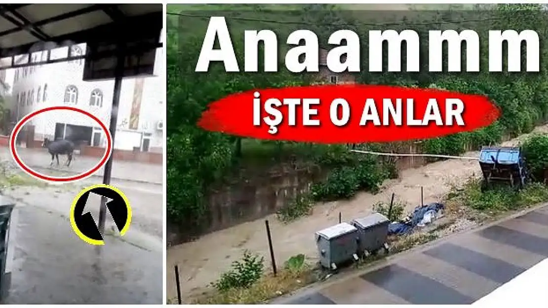 Şiddetli yağmurda gülümseten anlar