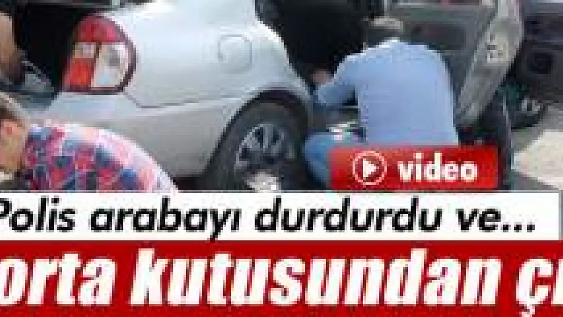 Sigorta kutusundan esrar çıktı