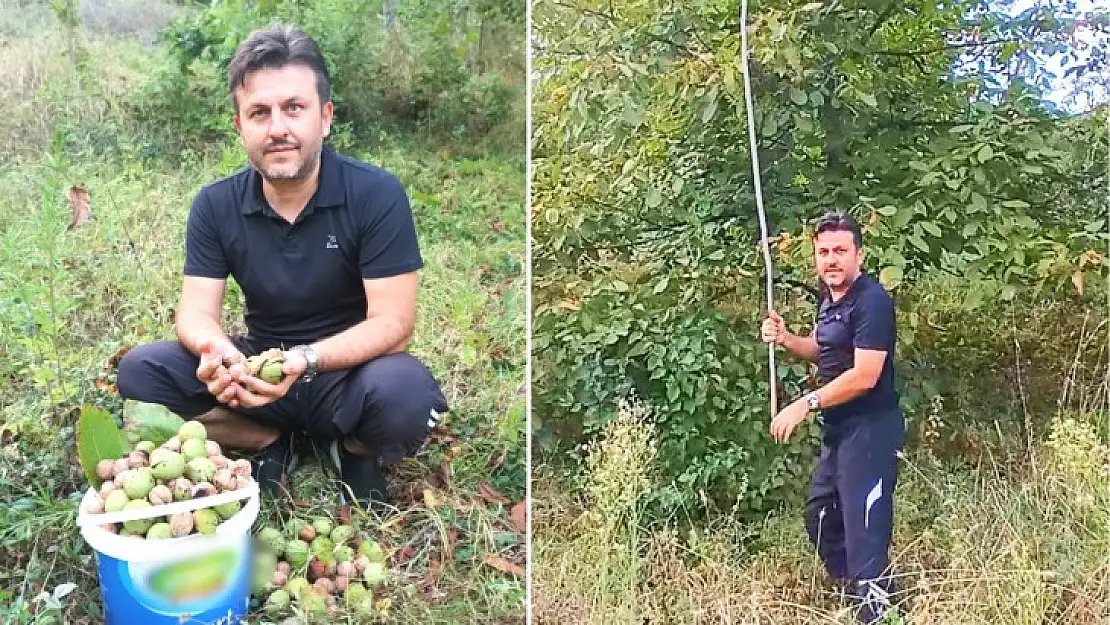 Şimdi cövüz dokuma zamanı