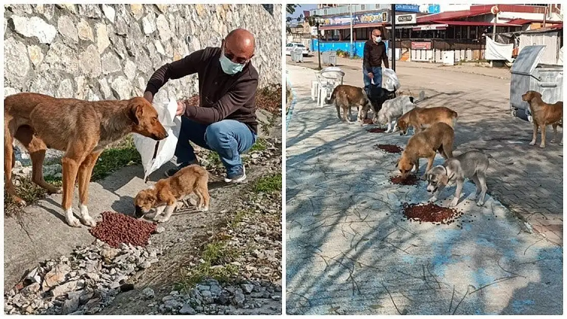 Sokağa çıkma yasağında can dostlar unutulmadı