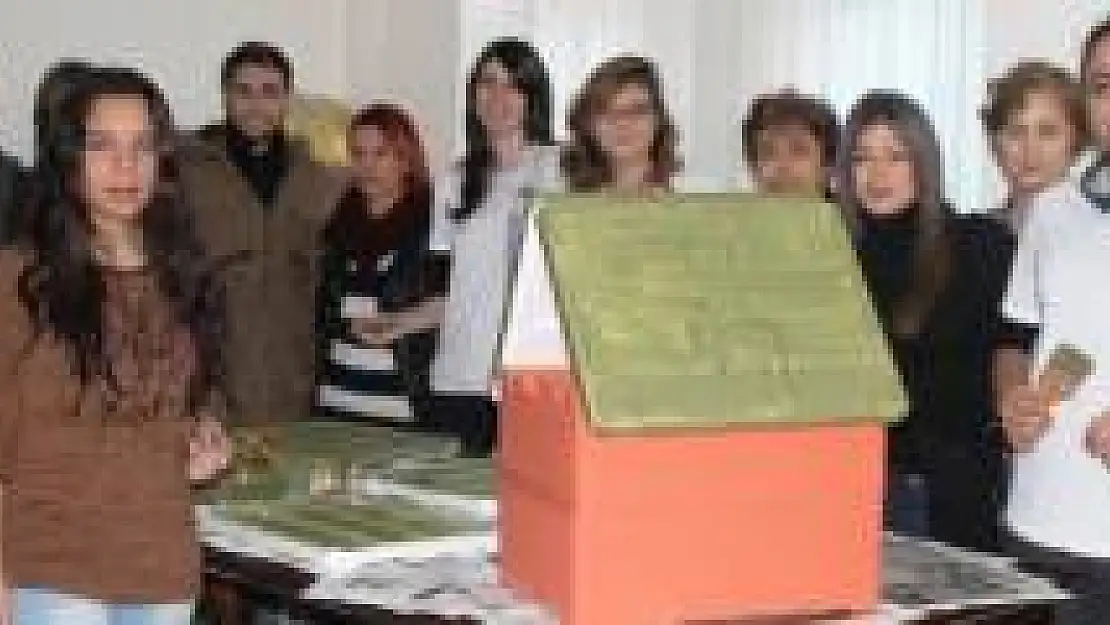 Sokak hayvanları için barınak yapıyorlar