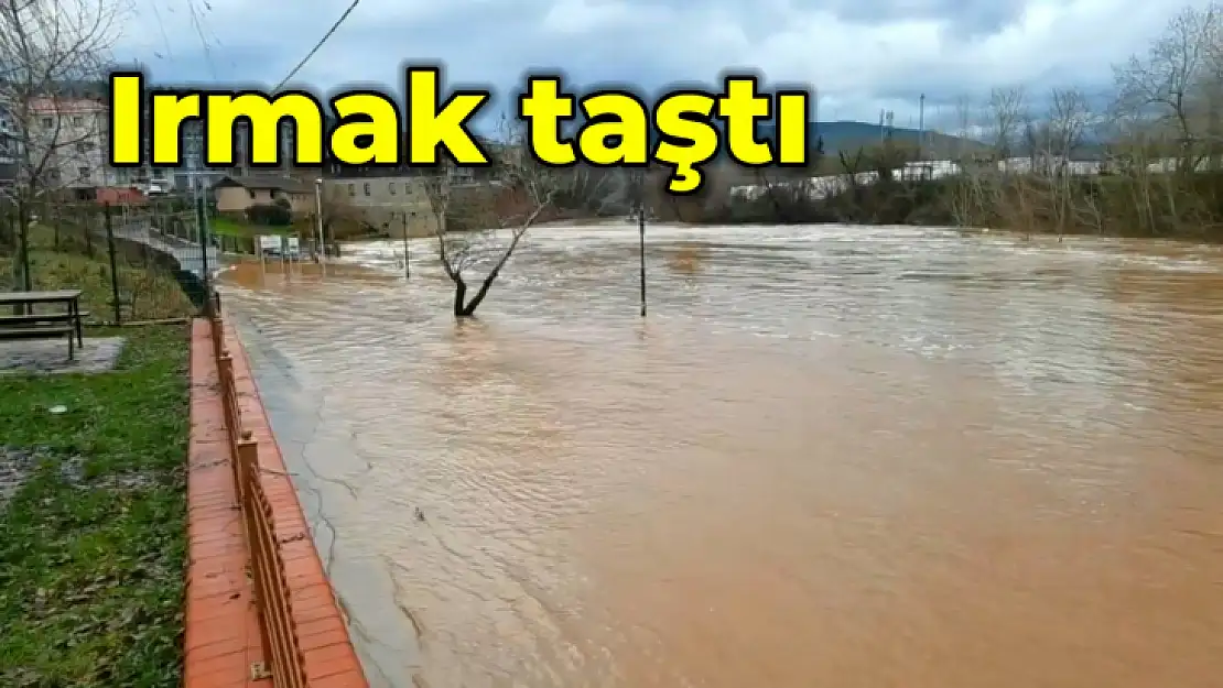 Son dakika, Bartın'da ırmak taştı