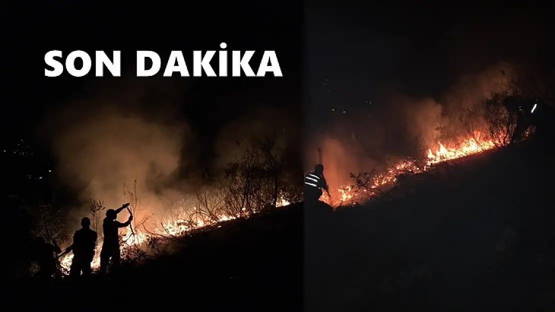 Son dakika, orman yangını