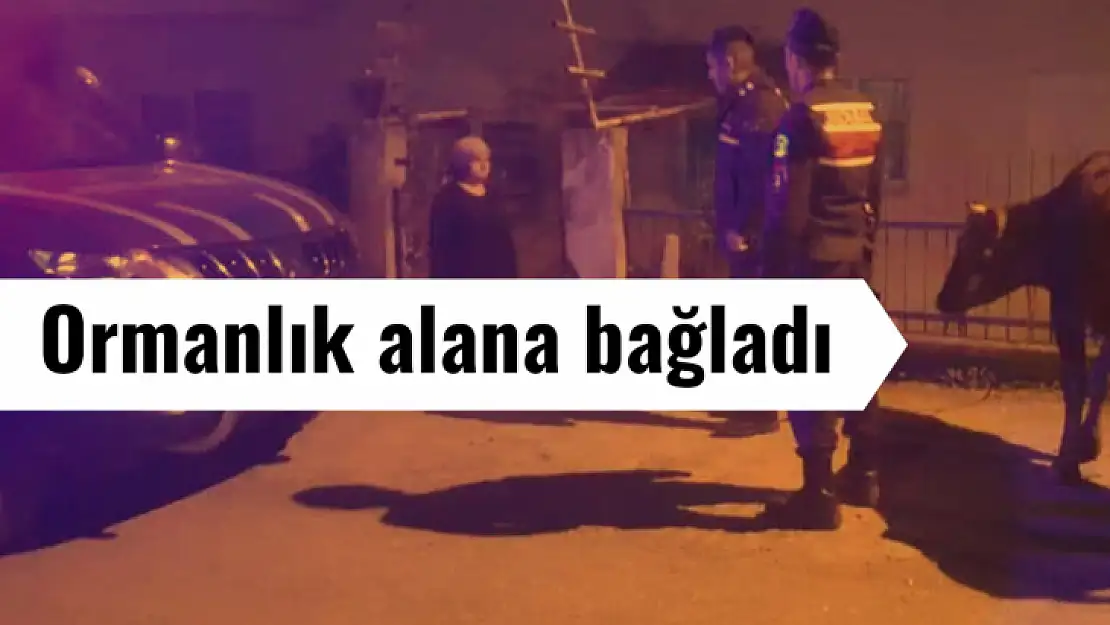 Sosyal medyada satmaya kalktı