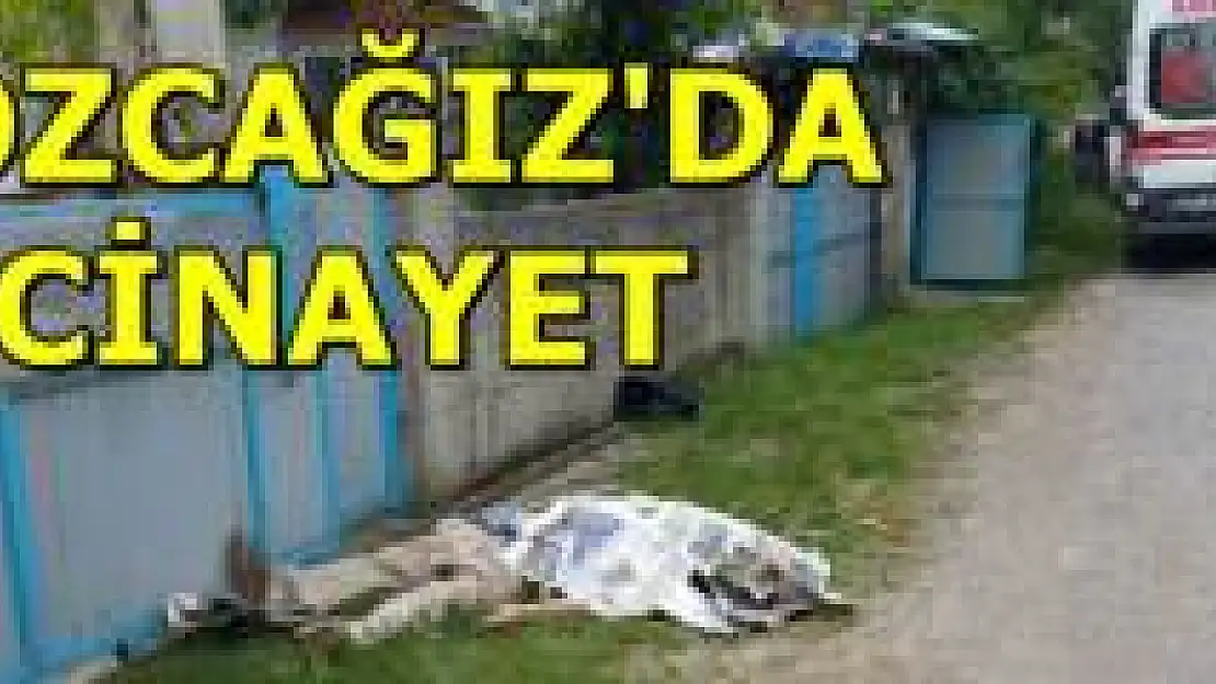 Tabancayla vurularak öldürüldü