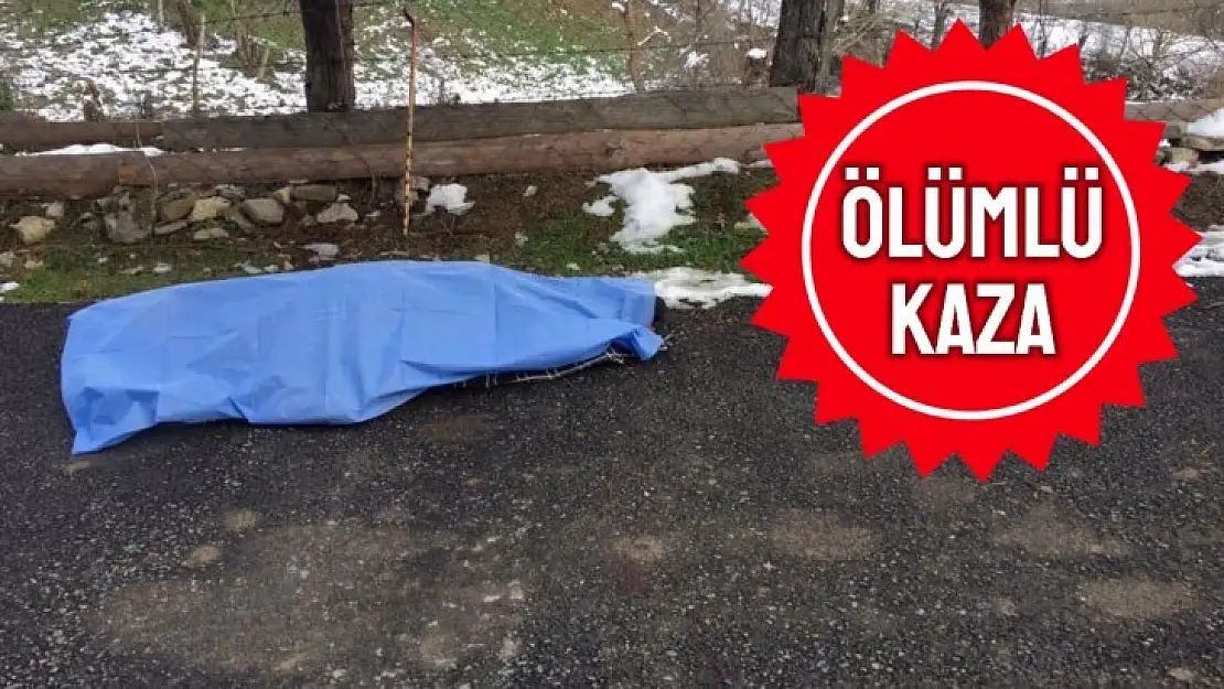 Talihsiz kazada hayatını kaybetti