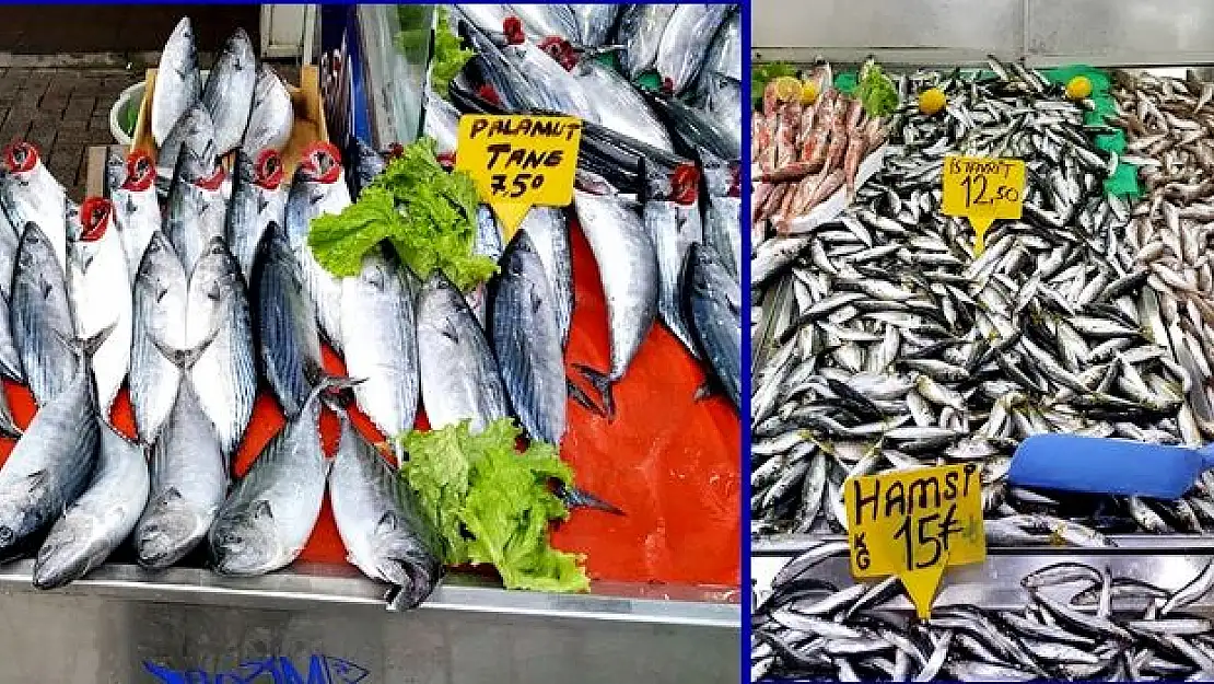 Tezgahlar şenlendi,fiyatlar el yakıyor