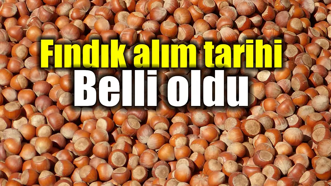 TMO fındık alım tarihi belli oldu