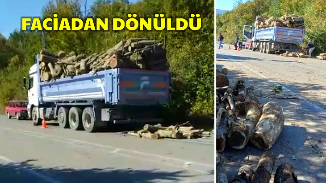 Tomruklar yola saçıldı