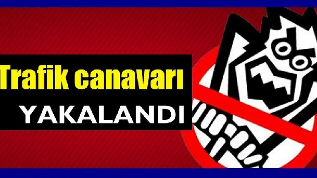 Trafik canavarına ceza yağdı