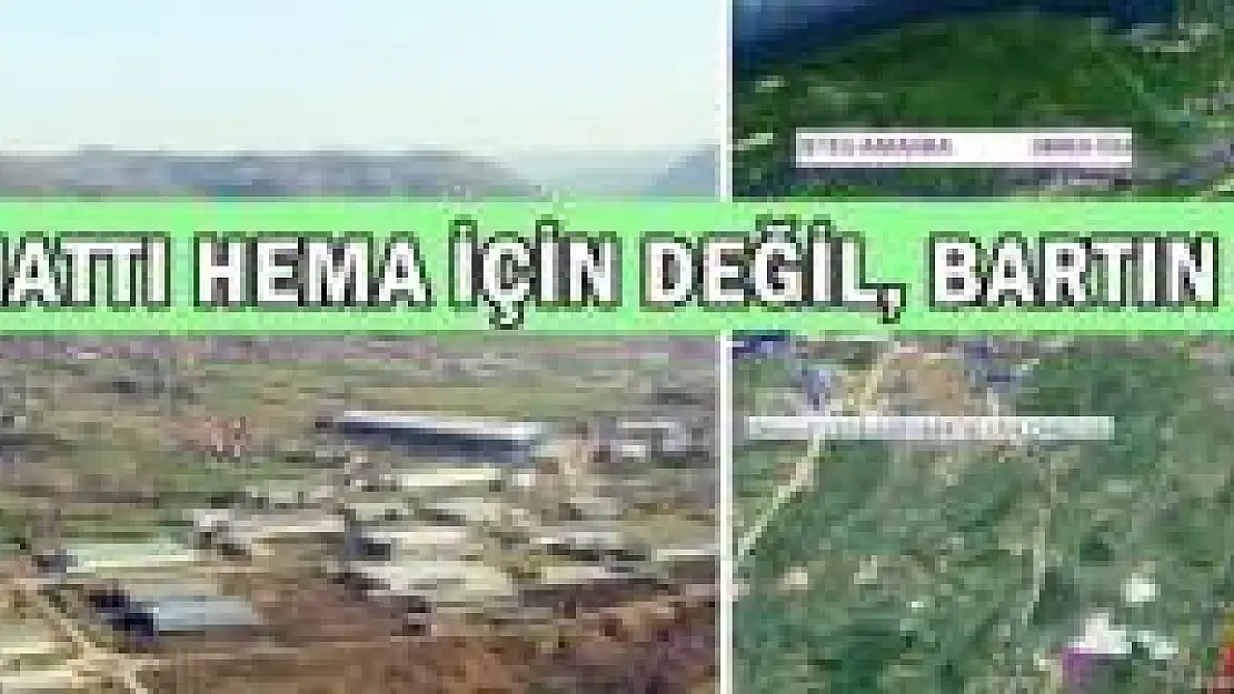 Tunç: 43 bin ağacın kesilmesi söz konusu değil