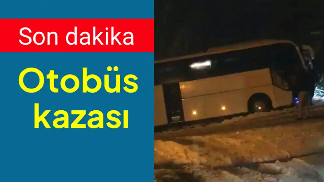 Tur otobüsü yoldan çıktı