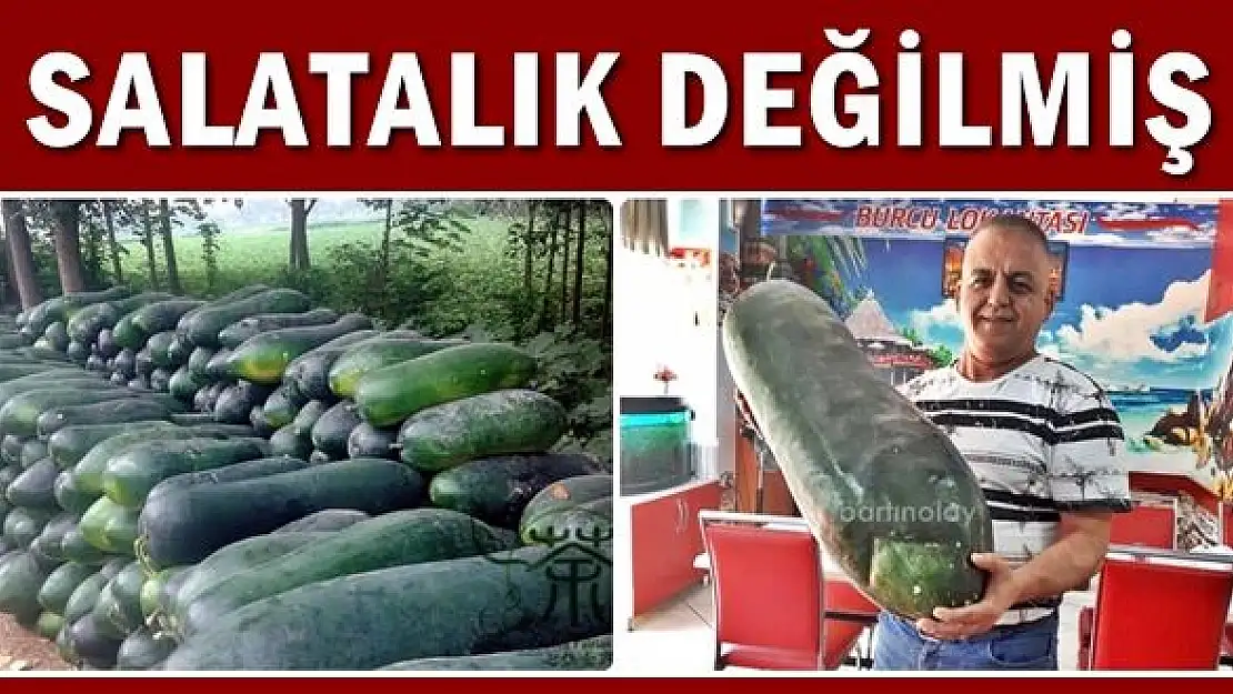Ülke çalkalandı, meğer salatalık değilmiş
