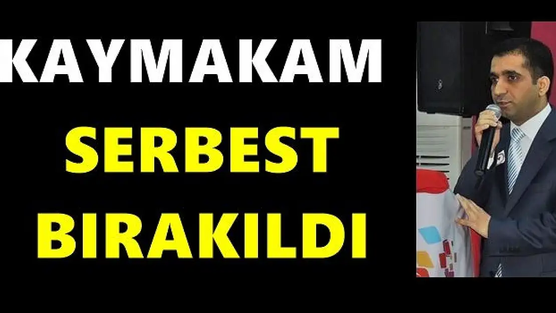 Ulus Kaymakamı serbest bırakıldı