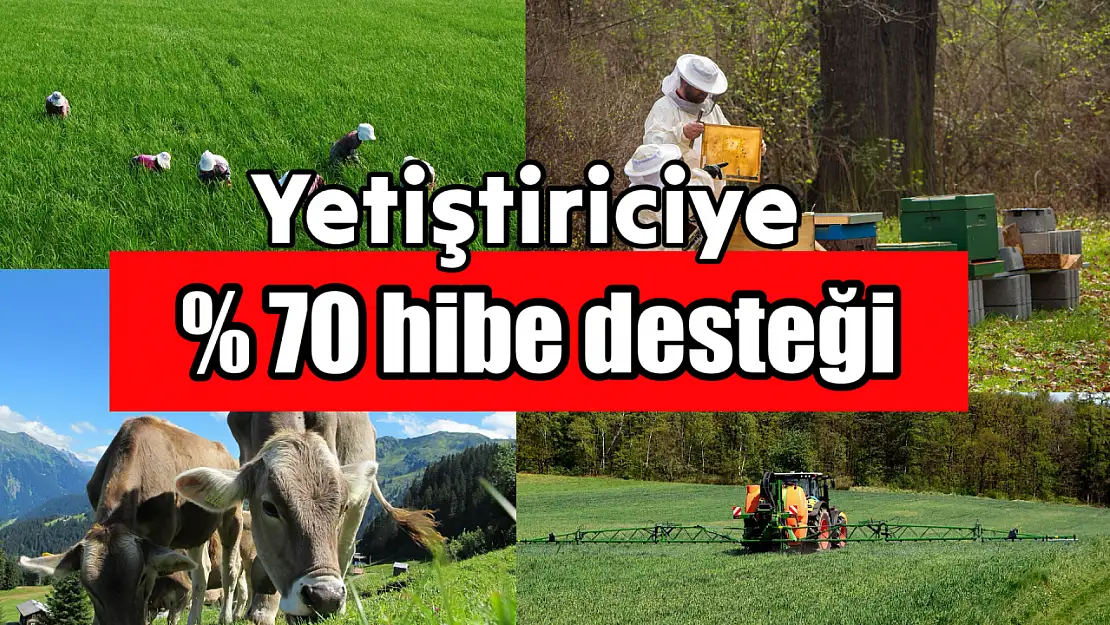 Üreticilere büyük hibe desteği