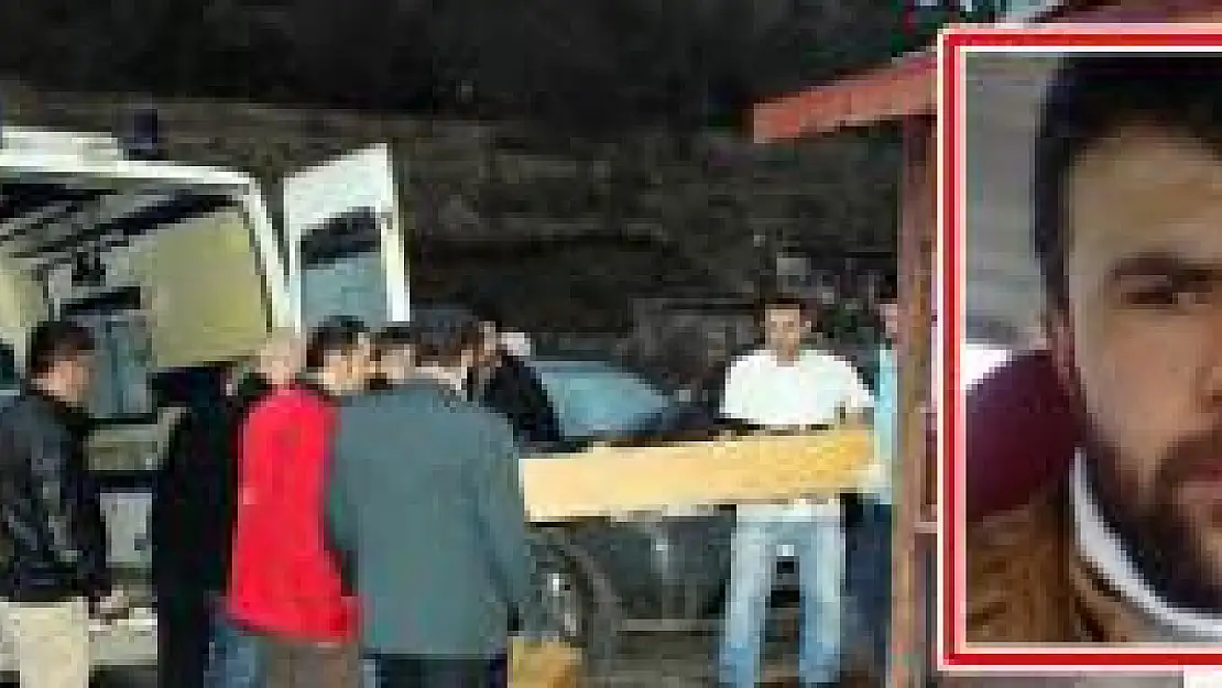 Üzerine ağaç yuvarlanan işçi öldü