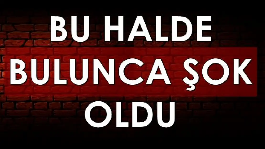 Vahşet görüntüleri…