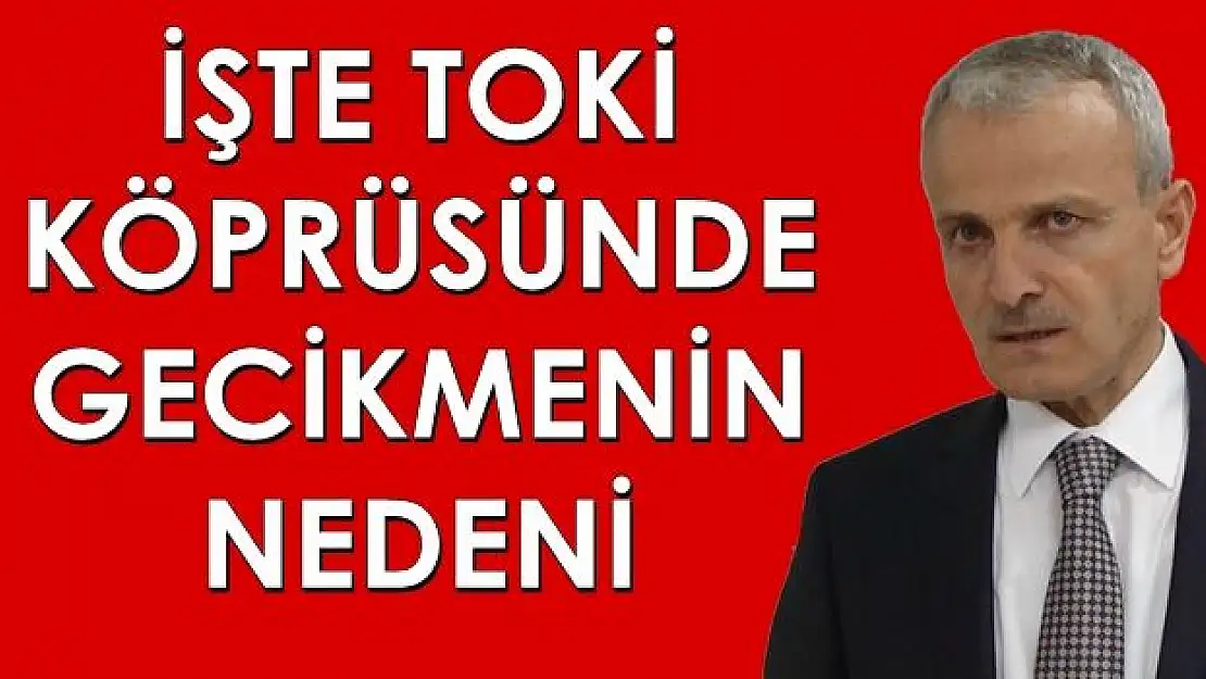 Vali Dirim'den TOKİ Köprüsü açıklaması