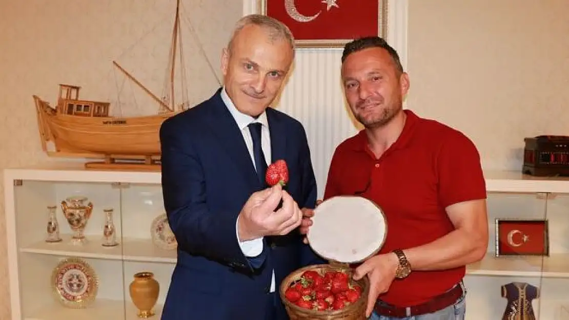 Vali Dirim'e goçvaz çileği