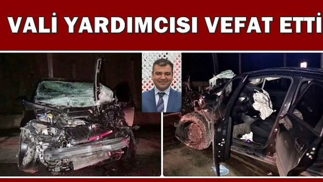 Vali yardımcısı kazada hayatını kaybetti